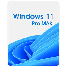 Windows 10/11 Pro MAK Key 20 Users 30days Warranty Period