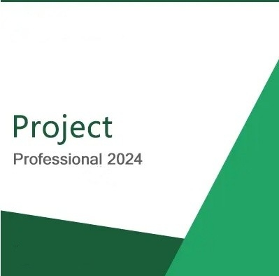 Project 2024 Professional The Ultimate Project Management Software For Organizations