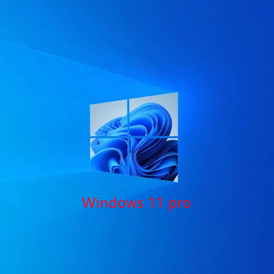 Lifetime 64 Gb  Windows 11 Product Key Internet Scdkey