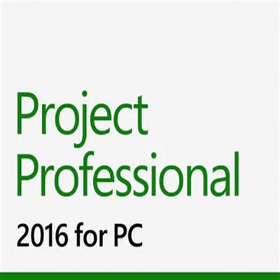 Digital Online Office 2016 Professional Plus Product Key 50 User License