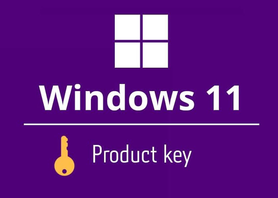 Mulititaal Microsoft Windows 11 de Levering van het Productcodehuis E-mail