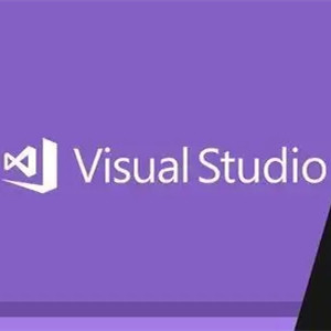 20 van de de Activerings het Zeer belangrijke 100% Activering van GB Visual Studio Product van de de Ondernemingscode 2019