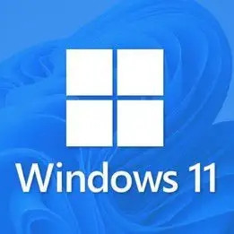 Globaal Mak Windows 11 Pro het Productcode van de Vergunnings Zeer belangrijke Online Activering