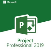 van de het Microsoft Projectactivering van 100% 1pc de Codeproject met 32 bits 2019 Productcode
