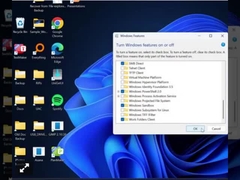 Vensters 11 Professionele Sleutel