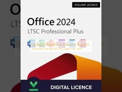Wereldwijd Office 2024 Professional Plus LTSC Volume Licentie van 100 gebruikers voor Windows